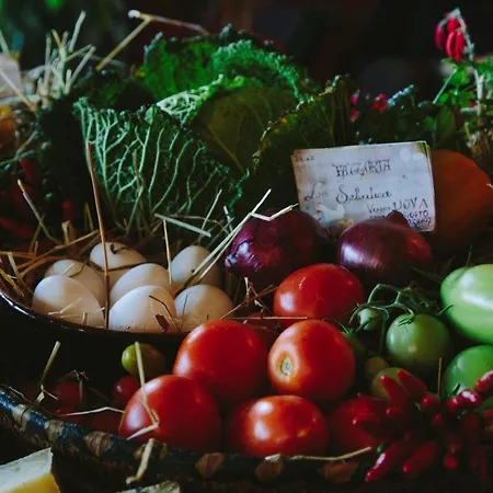 アパート Fidanza *