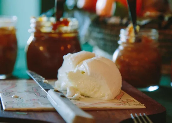 Fidanza * ブリッサーゴ