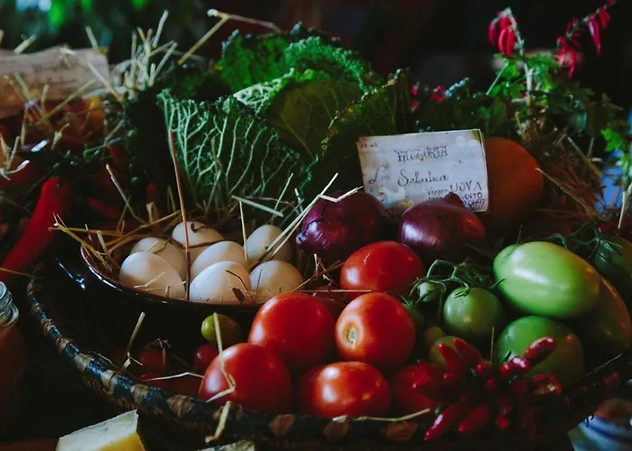 アパート Fidanza *